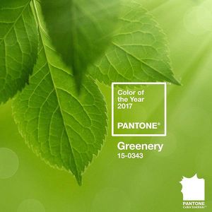 2017年度PANTONE代表色 草木綠Greenery