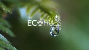 蘭精攜手ECOHUES ™無水染色技術，推動紡織產業的可持續發展